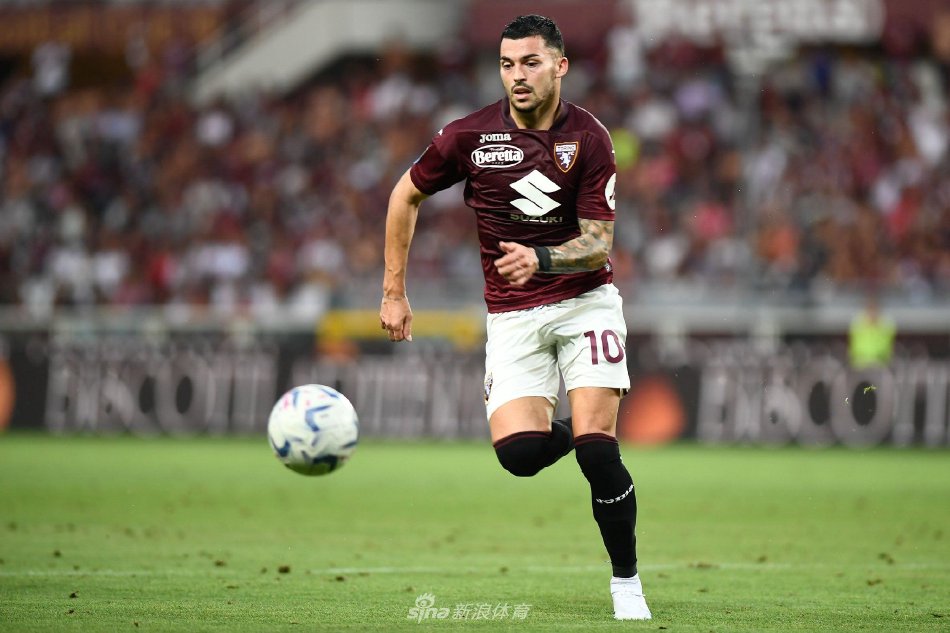 德甲：多特蒙德遭霍芬海姆以1比1逼和.